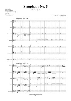 Beethoven Symphony 1 Score Imslp